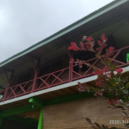 Green Forest Tangkahan Phòng bức ảnh