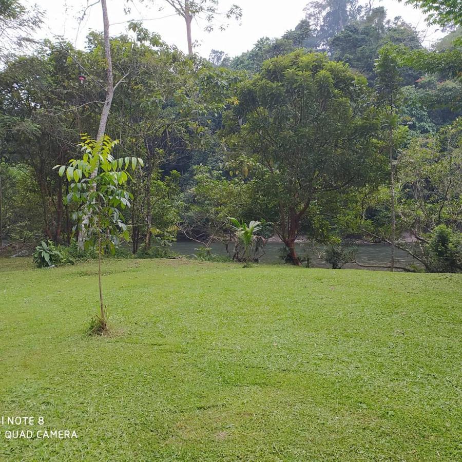 Green Forest Tangkahan Ngoại thất bức ảnh