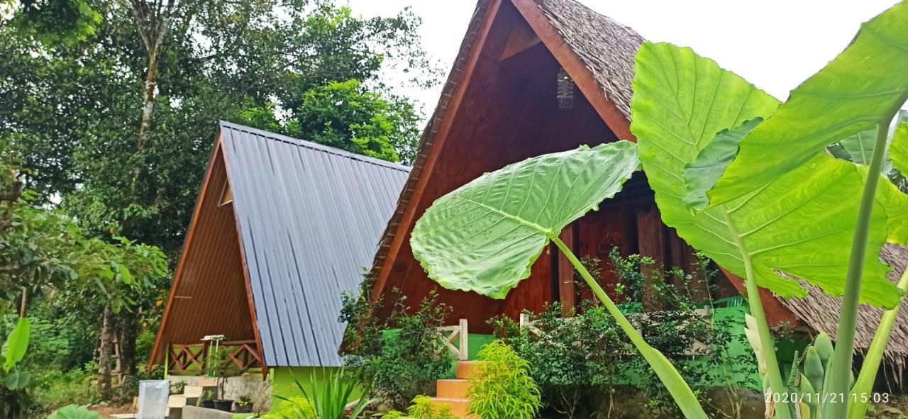 Green Forest Tangkahan Ngoại thất bức ảnh