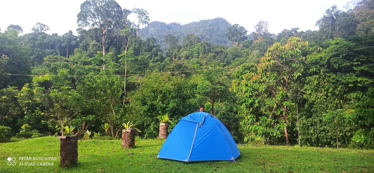 Green Forest Tangkahan Ngoại thất bức ảnh
