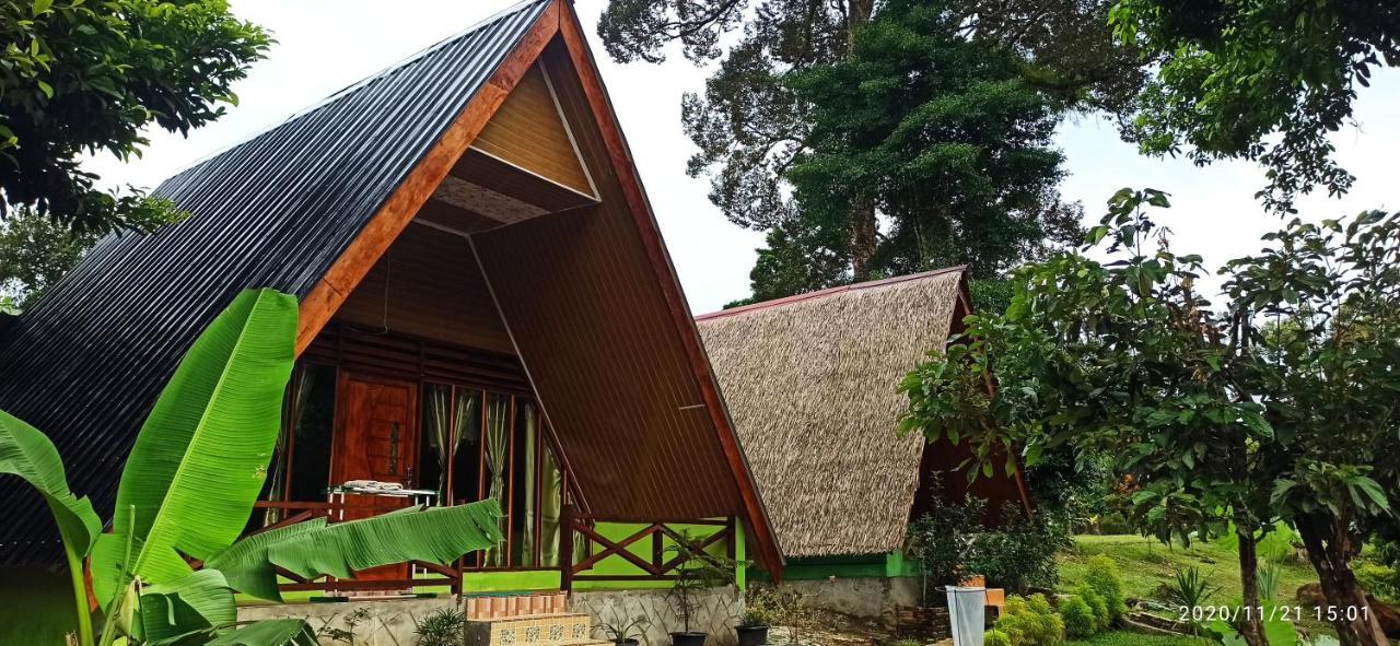 Green Forest Tangkahan Ngoại thất bức ảnh