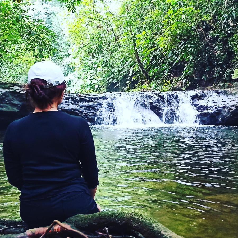 Green Forest Tangkahan Ngoại thất bức ảnh
