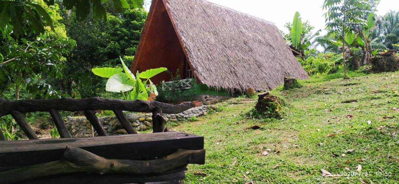 Green Forest Tangkahan Ngoại thất bức ảnh