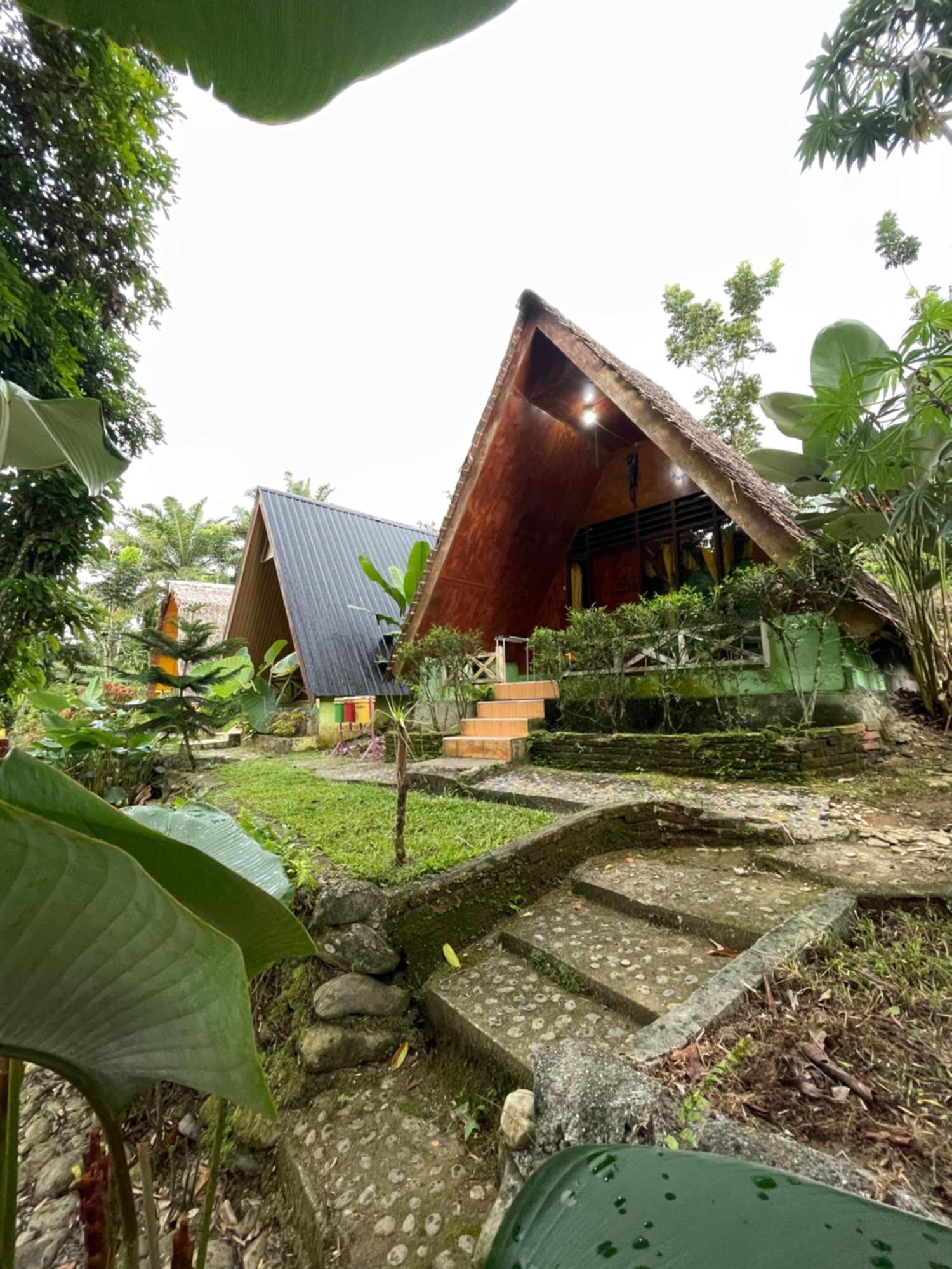 Green Forest Tangkahan Ngoại thất bức ảnh