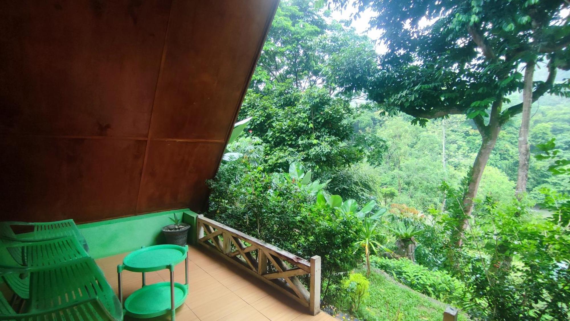Green Forest Tangkahan Phòng bức ảnh