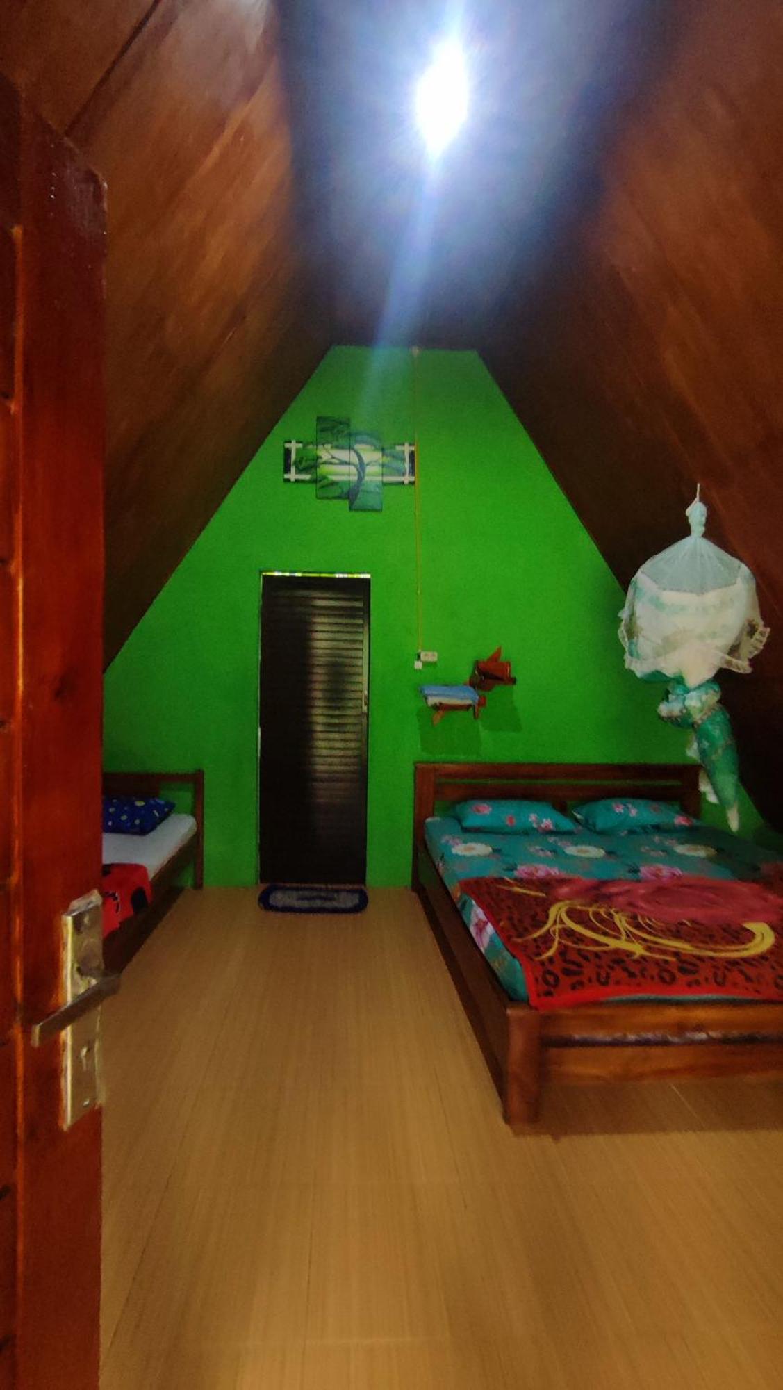 Green Forest Tangkahan Phòng bức ảnh