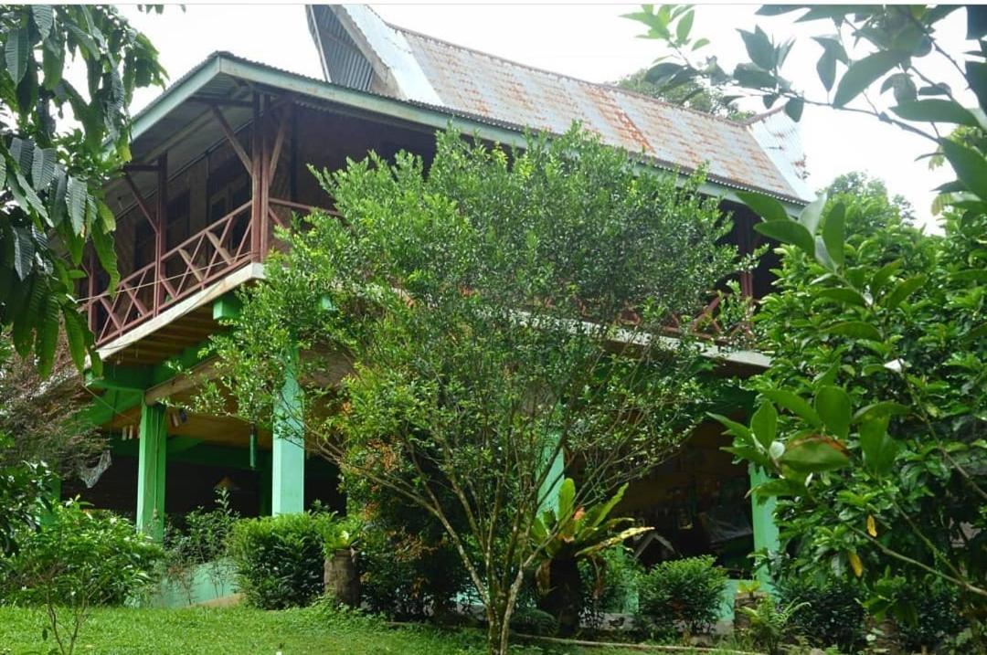 Green Forest Tangkahan Phòng bức ảnh