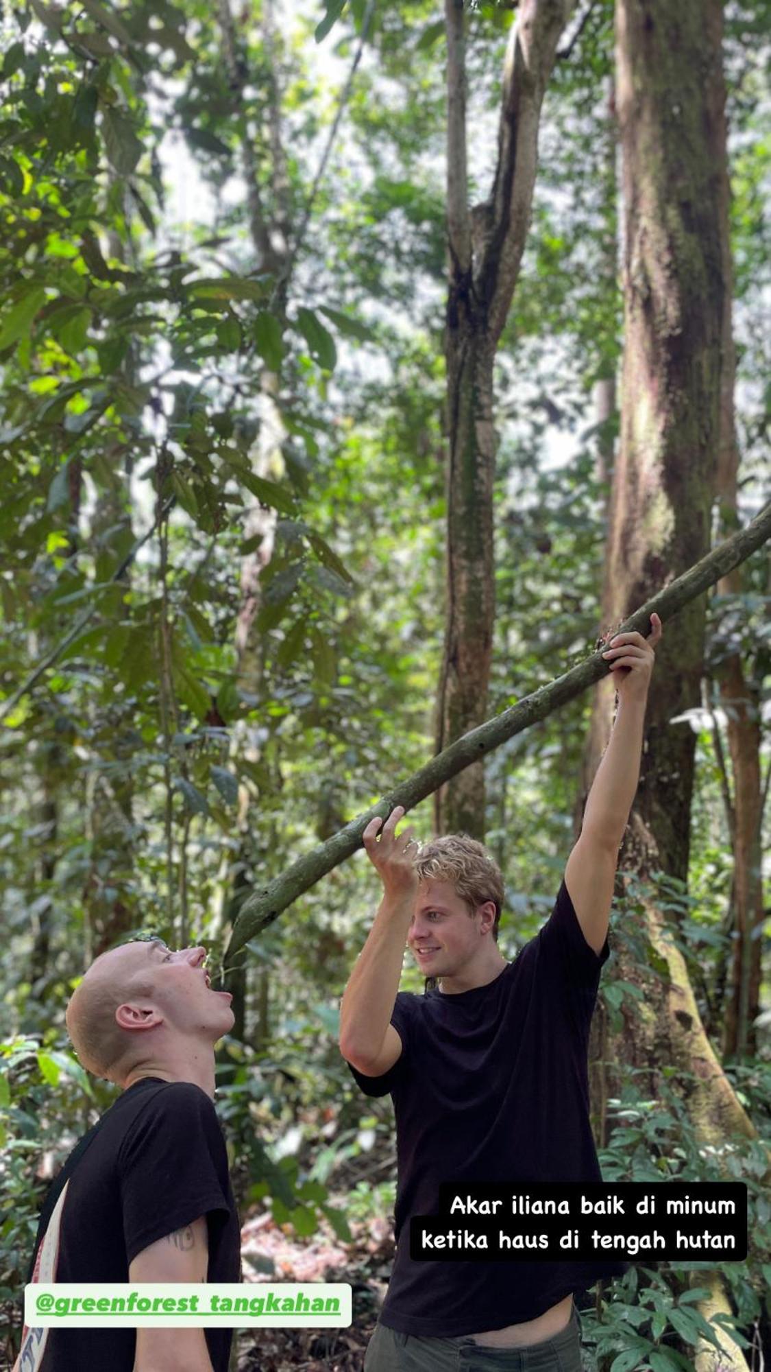 Green Forest Tangkahan Ngoại thất bức ảnh