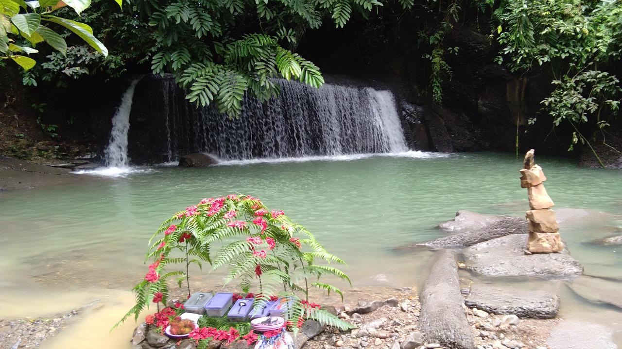 Green Forest Tangkahan Ngoại thất bức ảnh