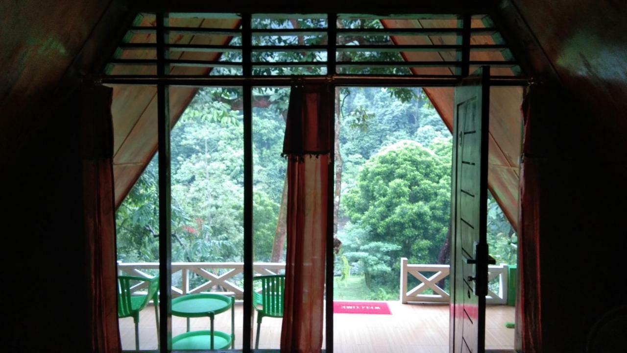 Green Forest Tangkahan Ngoại thất bức ảnh