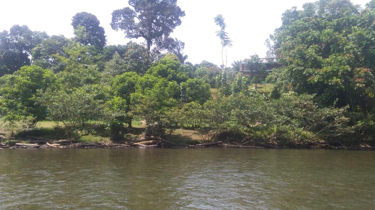 Green Forest Tangkahan Ngoại thất bức ảnh