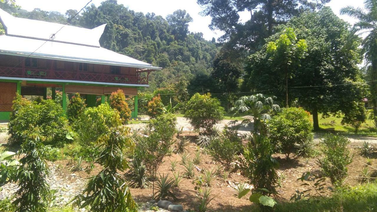 Green Forest Tangkahan Ngoại thất bức ảnh