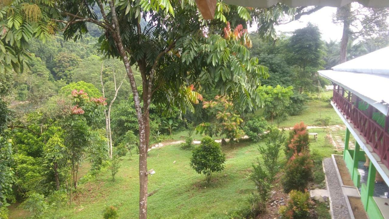 Green Forest Tangkahan Ngoại thất bức ảnh