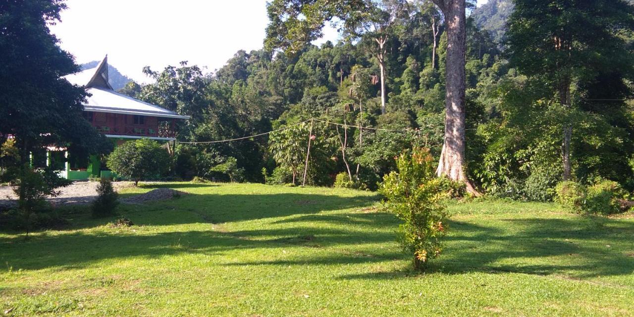 Green Forest Tangkahan Ngoại thất bức ảnh