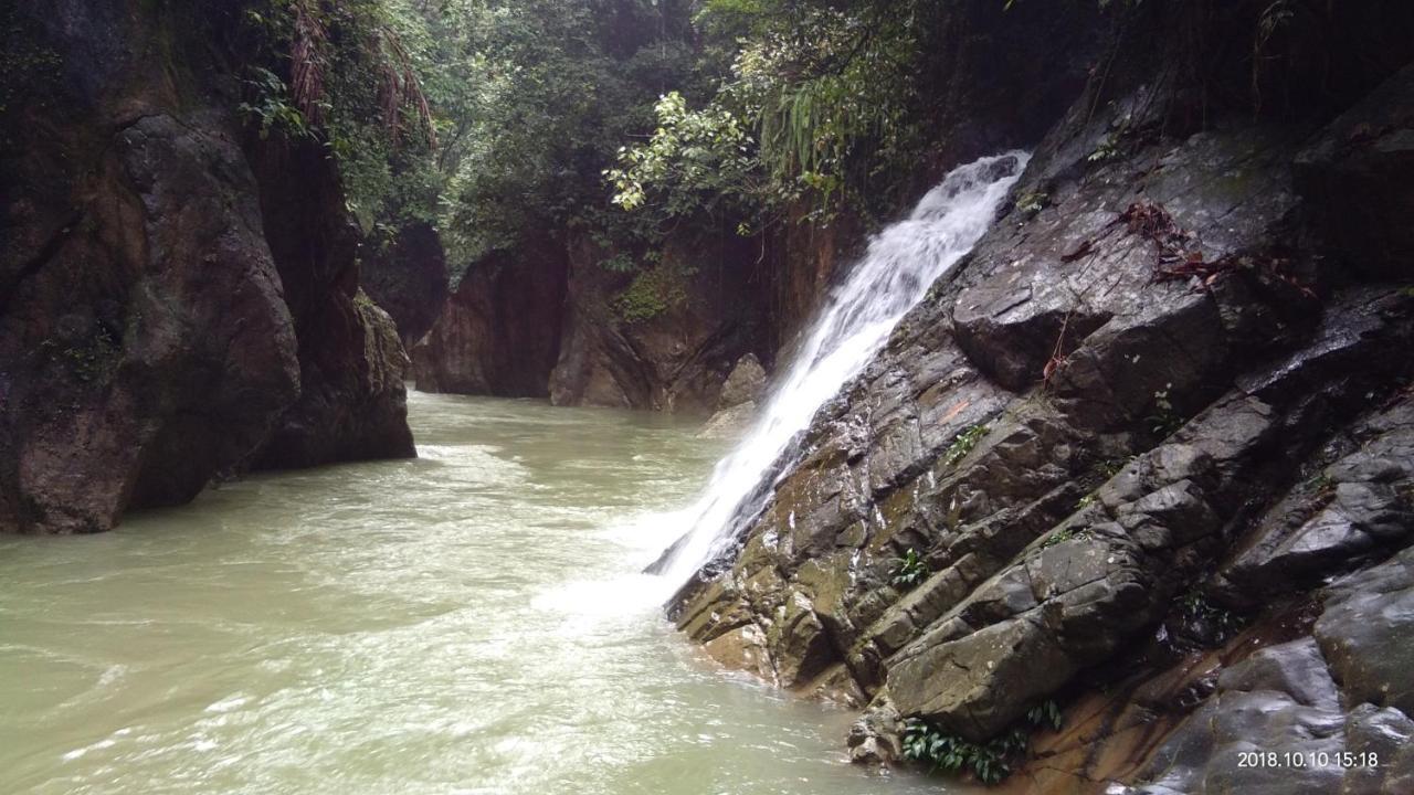 Green Forest Tangkahan Ngoại thất bức ảnh